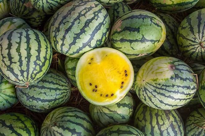 خرید میوه هندوانه آناناسی + قیمت فروش استثنایی
